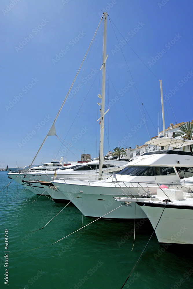 big, beautiful, stunning and luxurious white yachts