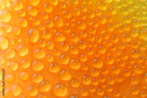 poppy dew self portraits