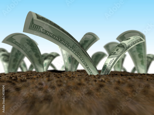 Fotografie dollars growing