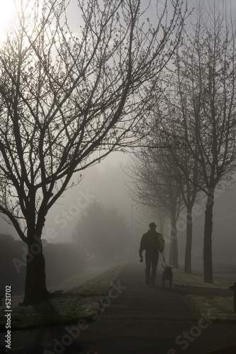 foggy morning stroll