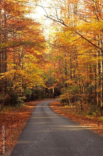 winding fall road