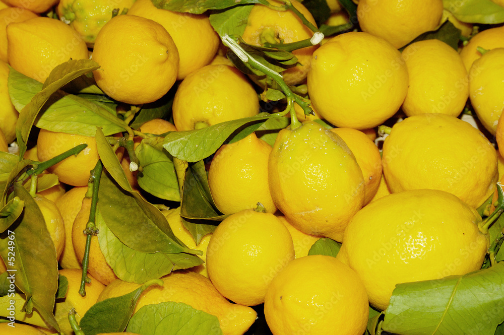 citrons 1