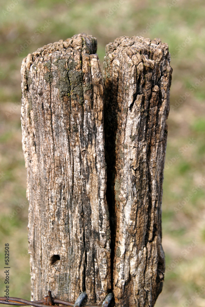 Fototapeta premium old fence post