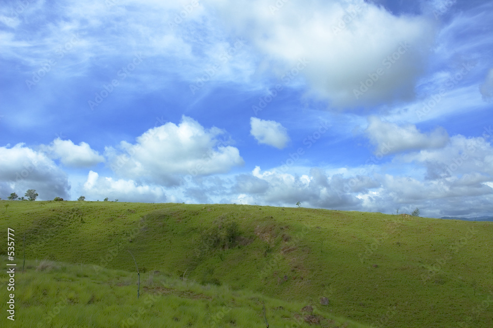 background of blue sky and green grass