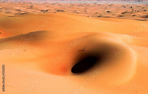 desert abu dhabi uae