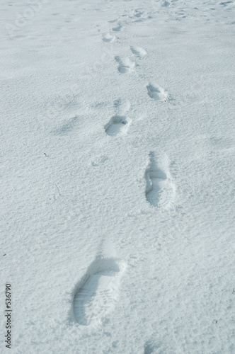 footprints