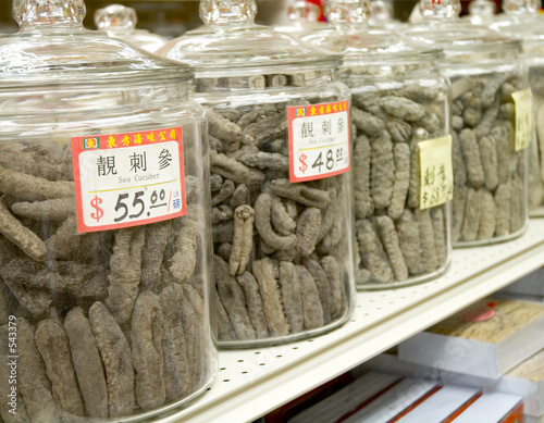 sea cucumbers