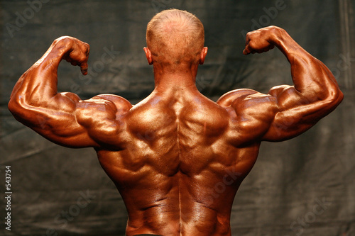 bodybuilder
