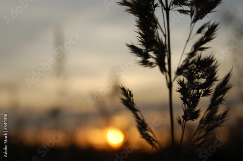 sonnenuntergang