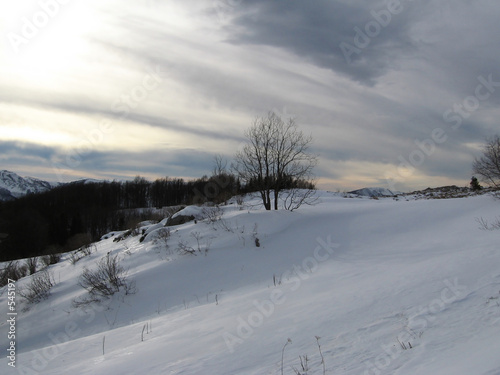 winter in caucasian reservation
