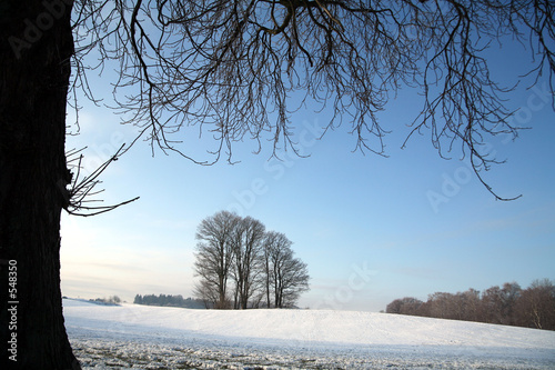 winter in denmark photo