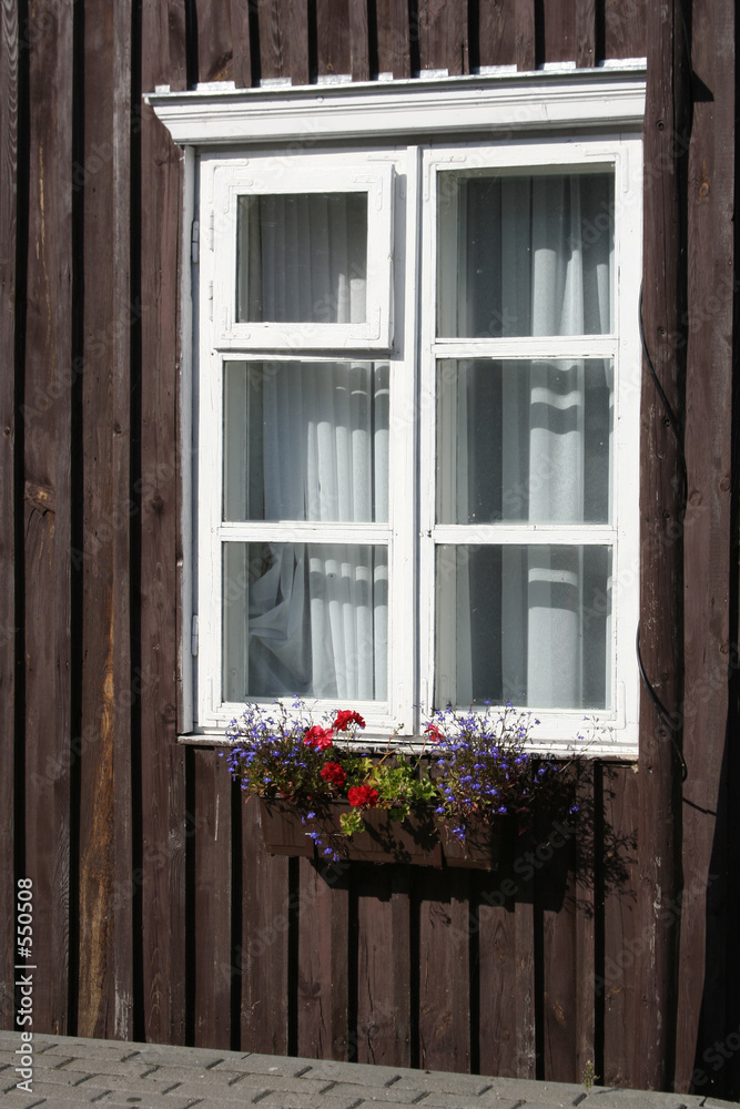 window