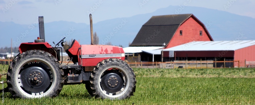 Fototapeta premium rural countryside