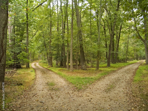 two paths