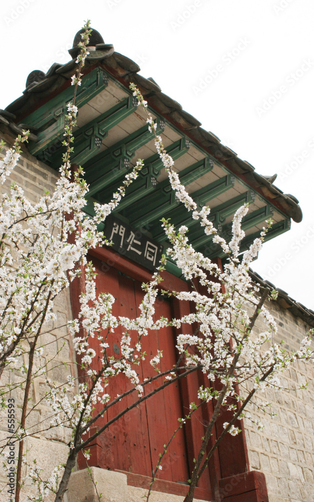 Obraz premium korean palace grounds