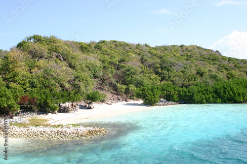 tobago cays aux iles grenadines