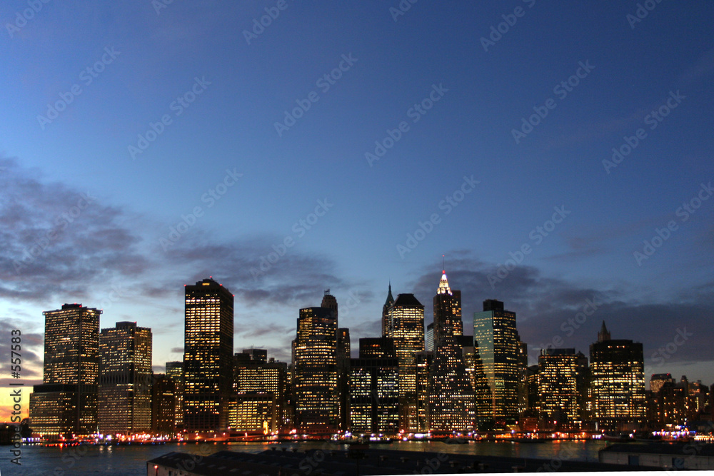 Fototapeta premium manhattan skyline