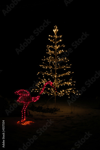 christmas tree at night