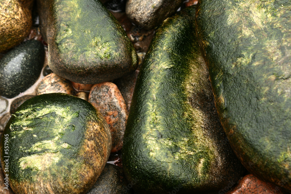 Obraz premium ocean stones