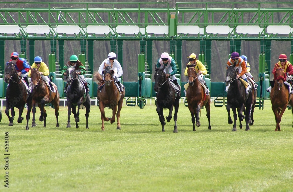 Foto départ course de chevaux