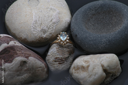 rock collection