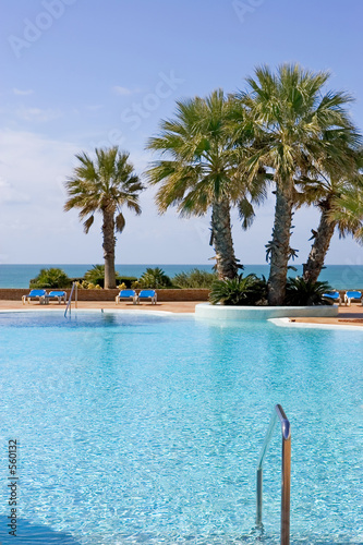luxury swimming pool with sea views