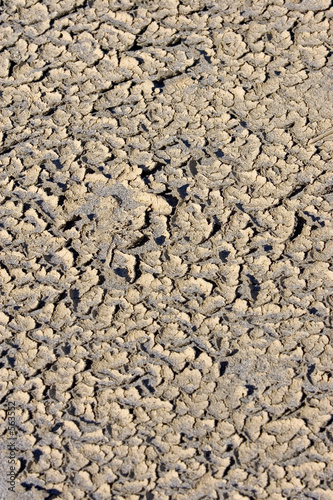 strange crusty patterns in sand on beach in spain