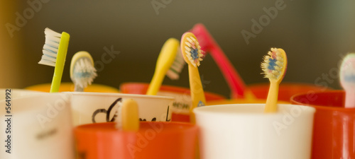 petites brosse à dents photo