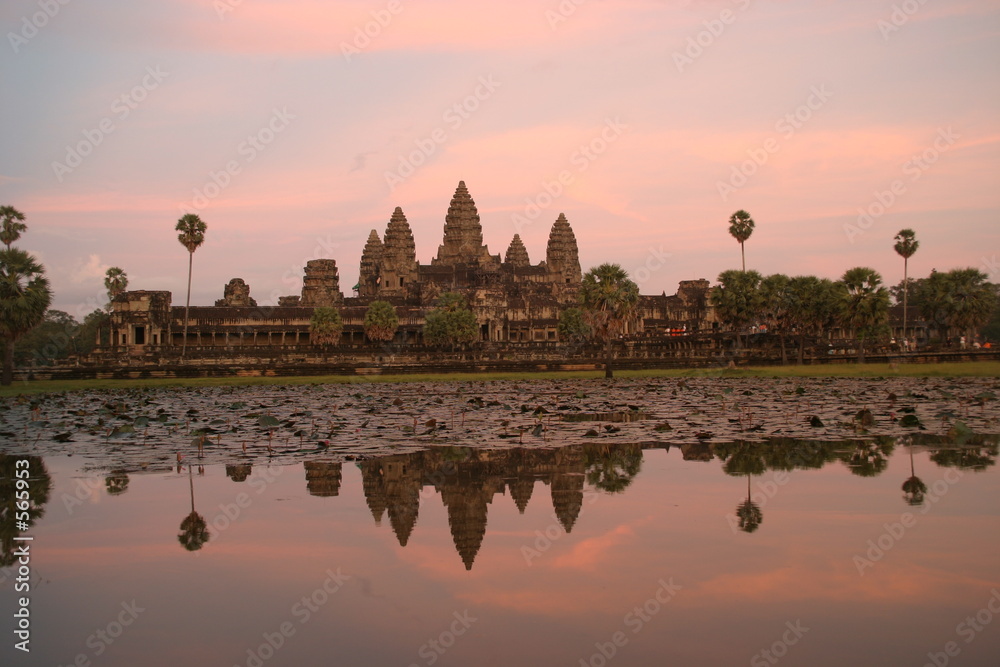 Fototapeta premium angkor wat at sunset