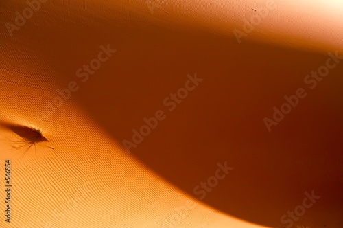 dunes