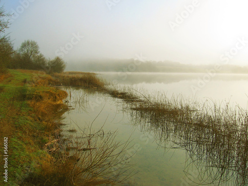 fog on the lake