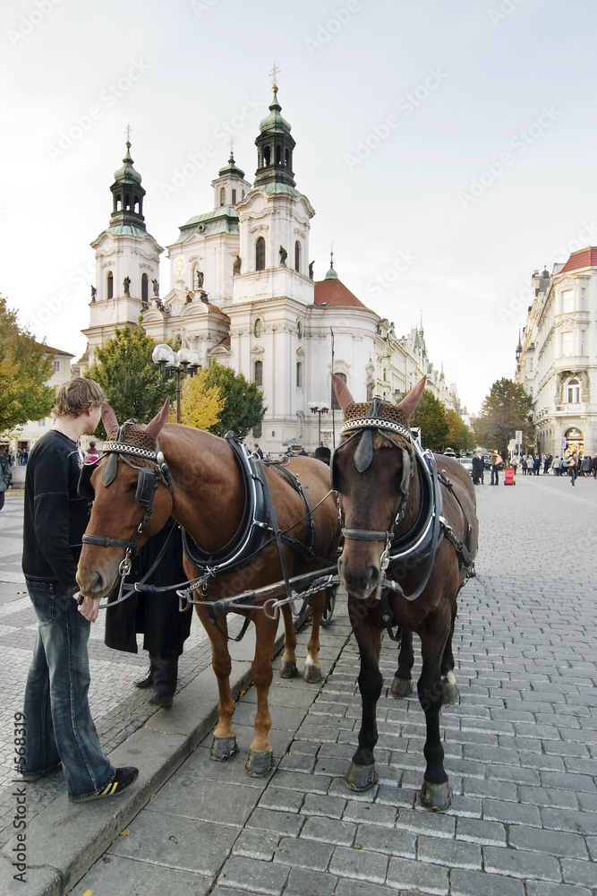 horse drawn cart