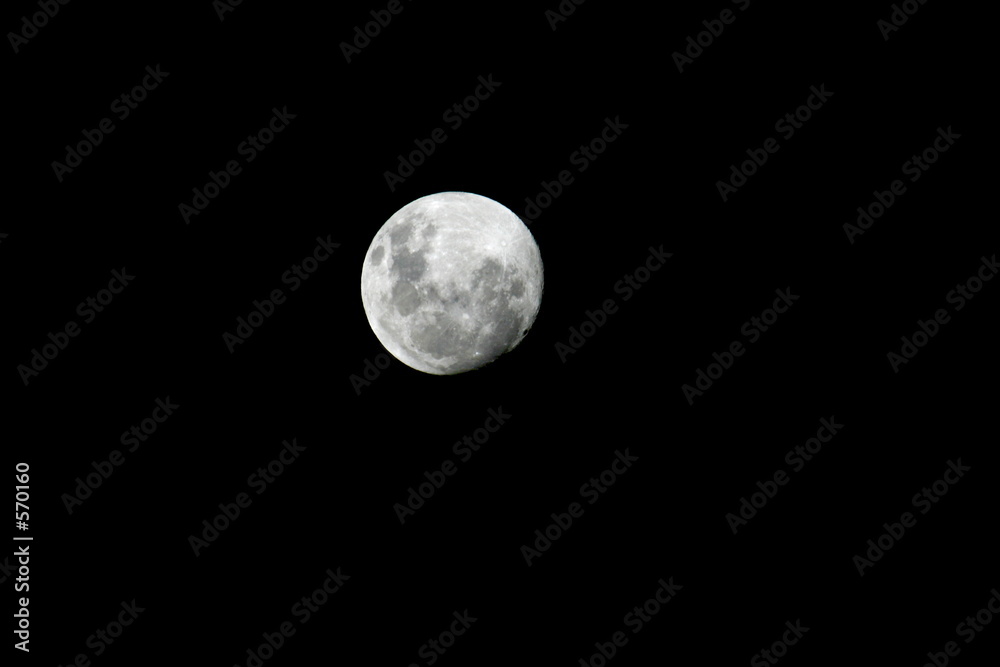 moon moon