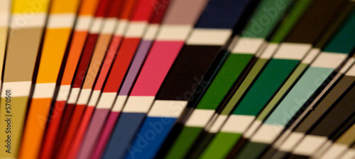 color collection bis