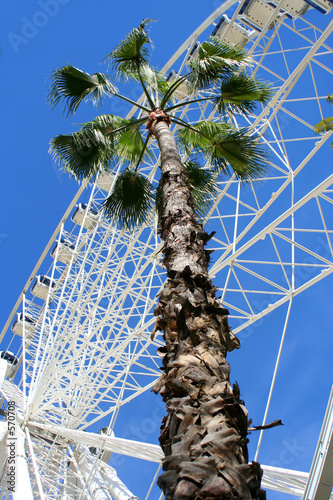 giant wheel photo