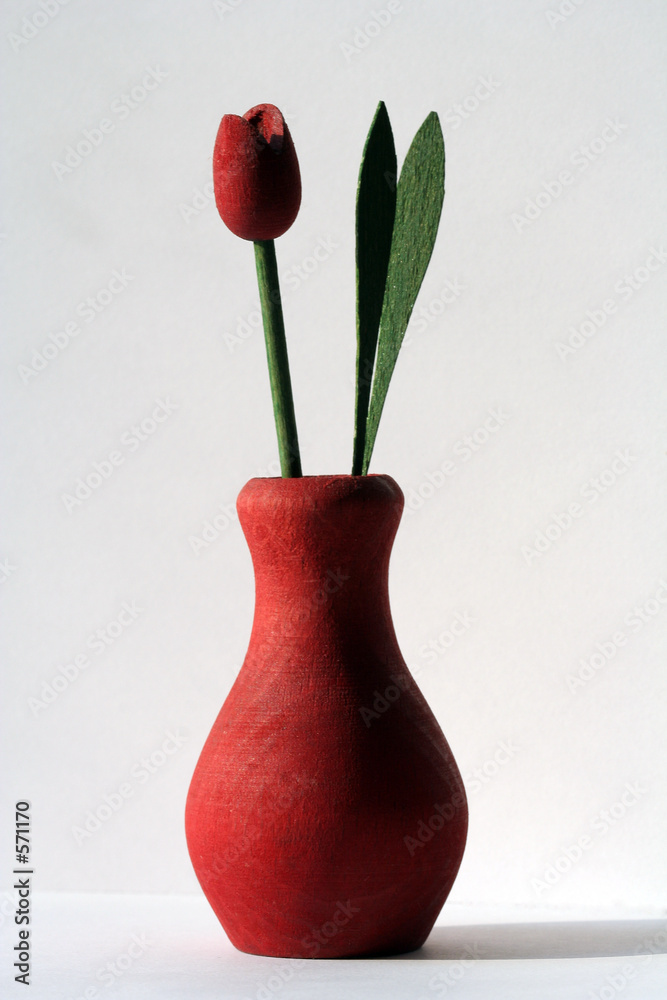 Valokuva tulip