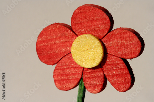 Fotografie flower