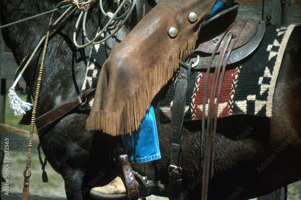 Photography a day in the saddle