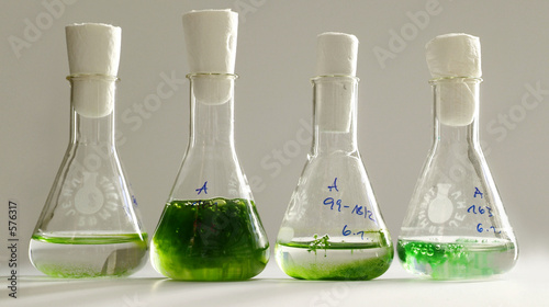 biochemie1