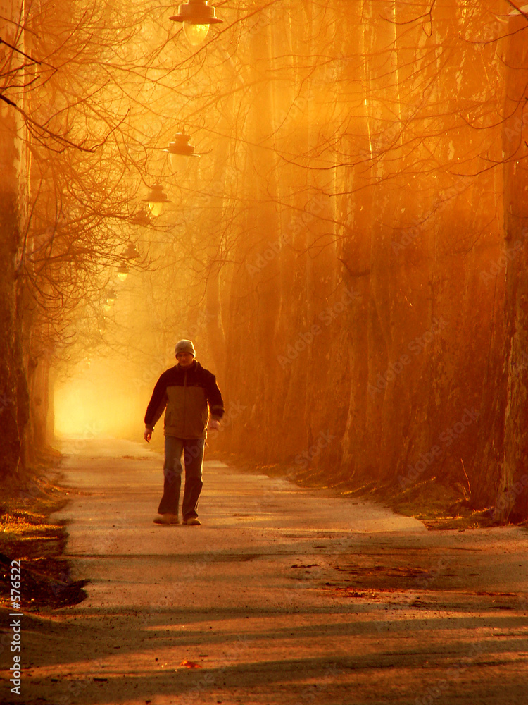 Fototapeta premium walk from future