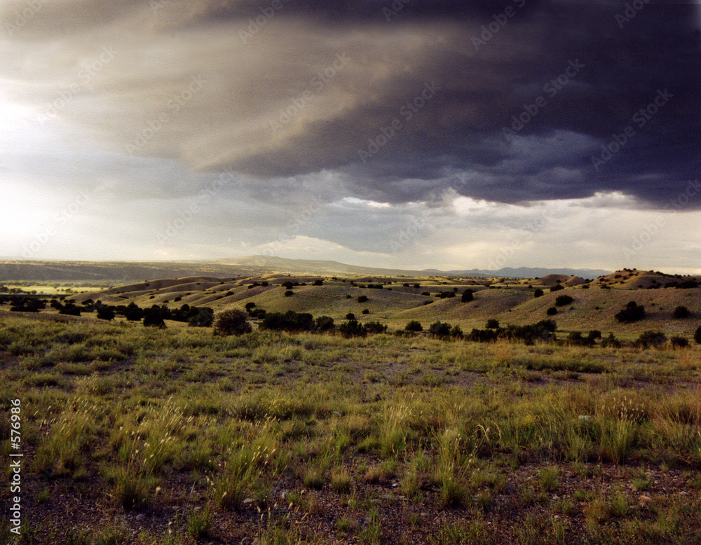 Obraz premium the bright distant valley