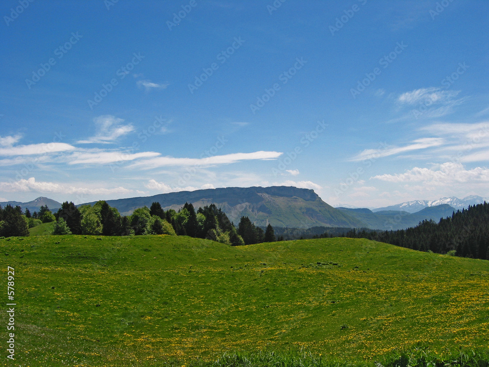 Fototapeta premium paysage de montagne