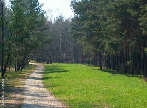 path