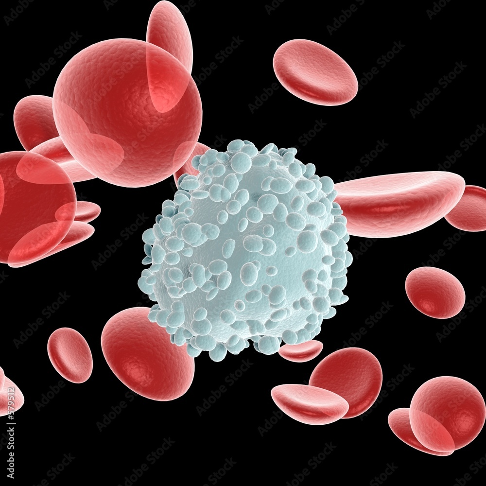 Фотография blood cell & leukocyte