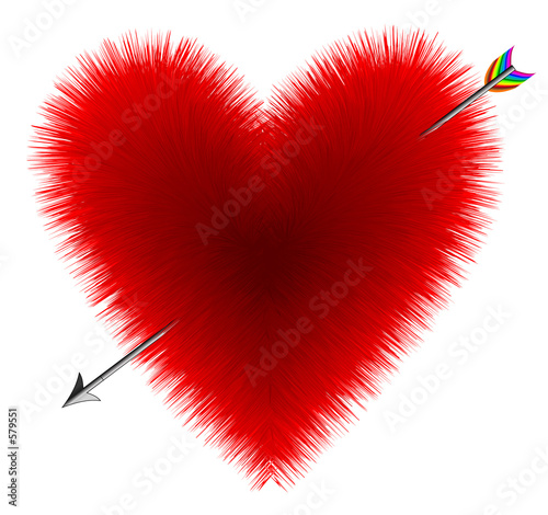 heart