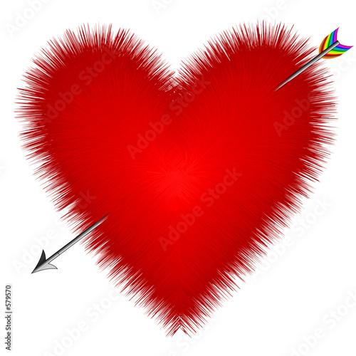 heart