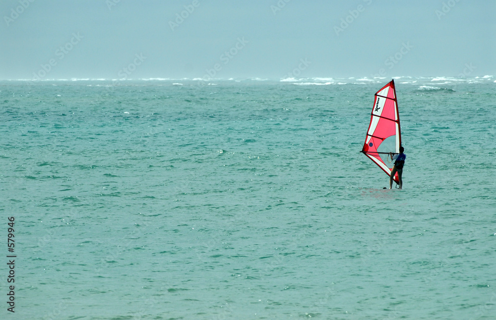 windsurf