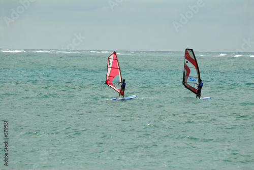 windsurf