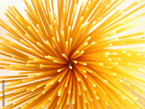 Fototapeta prickly spaghetti