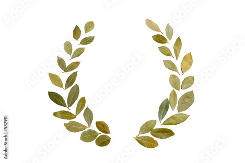 laurel wreath